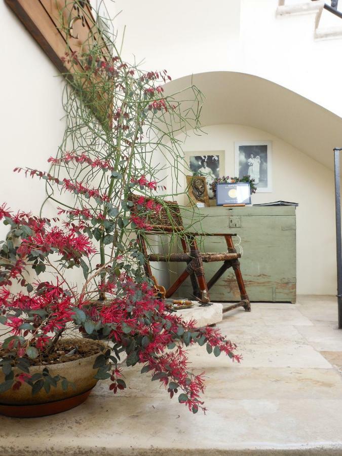 Palazzo Antica Via Appia Bed & Breakfast บิตอนโต ภายนอก รูปภาพ